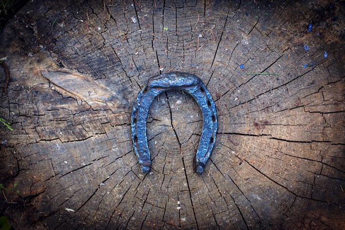 Blue horseshoe on a weathered wood stump