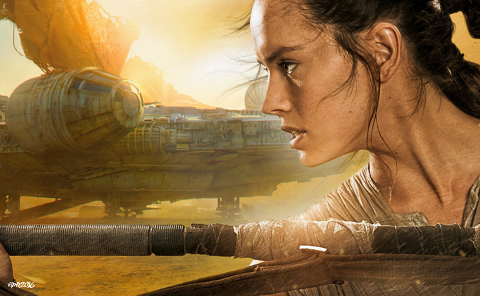 Rey from Star Wars with Millennium Falcon