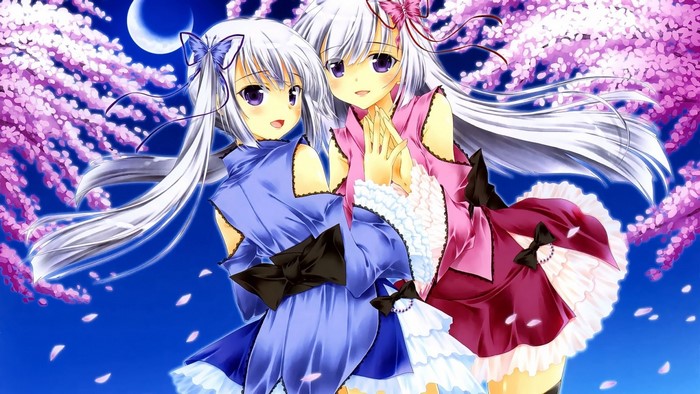 Two anime girls under cherry blossoms at night