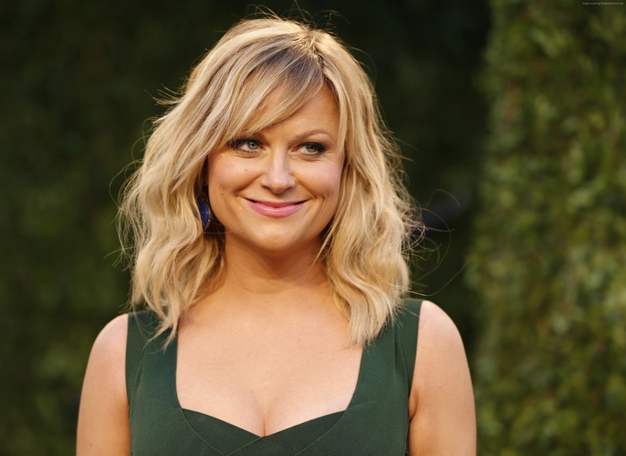 Amy Poehler 4K