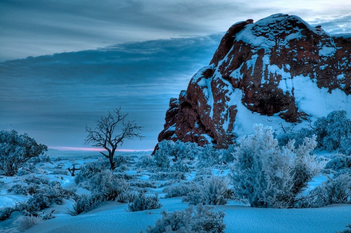 Snowy landscape with rock formation and bare tree