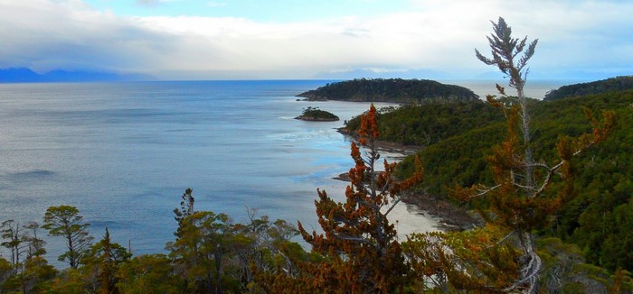 Coastal landscape with forested hills and islands