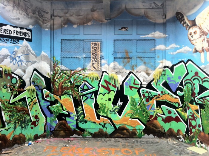 Graffiti mural with mountains, clouds, and an owl