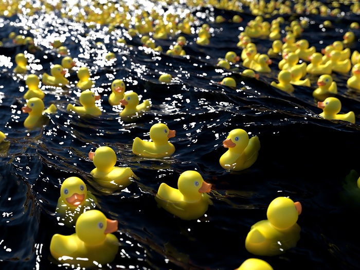 Many yellow rubber ducks floating on dark water