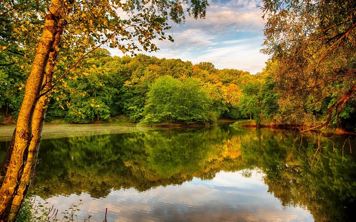Autumn forest reflected in a calm lake