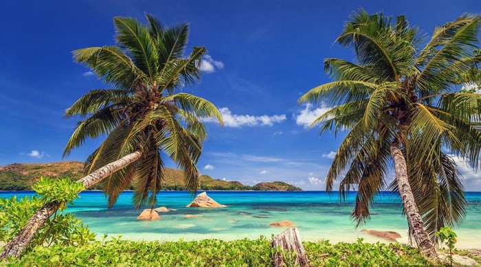 Tropical beach with palm trees and turquoise water