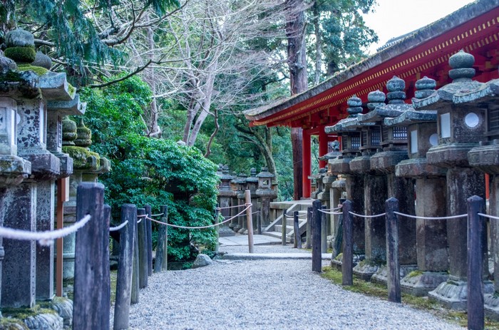Stone lanterns line a path to a red temple building