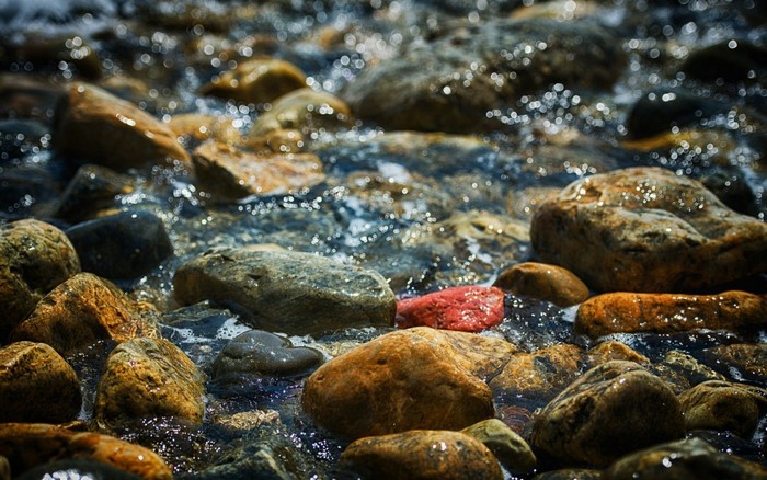 Close-up of wet river stones with flowing water