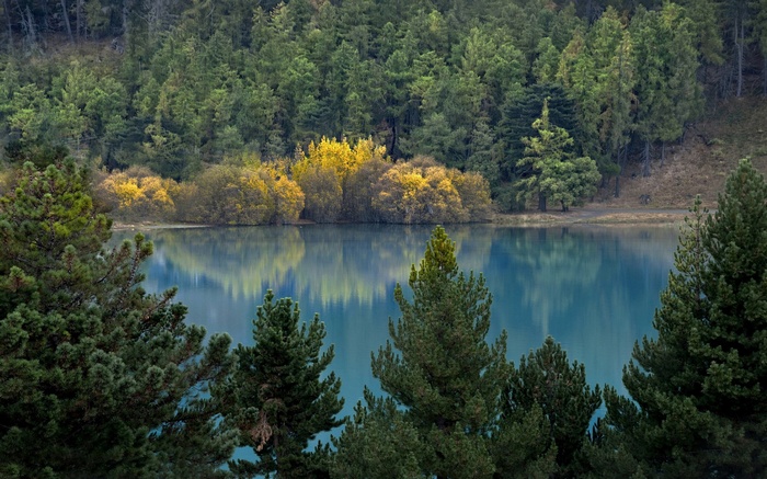 Lake and forest with autumn foliage