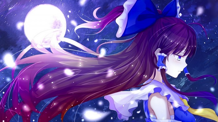 Reimu Hakurei from Touhou Project