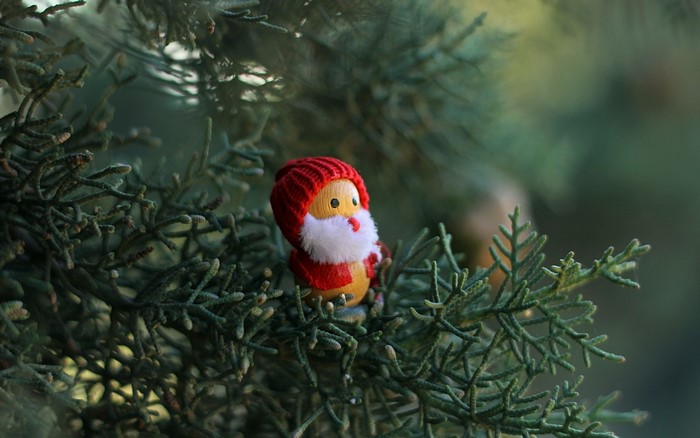 Toy Santa Claus on a pine tree branch