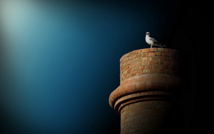 Seagull perched on a brick tower against a dark blue sky