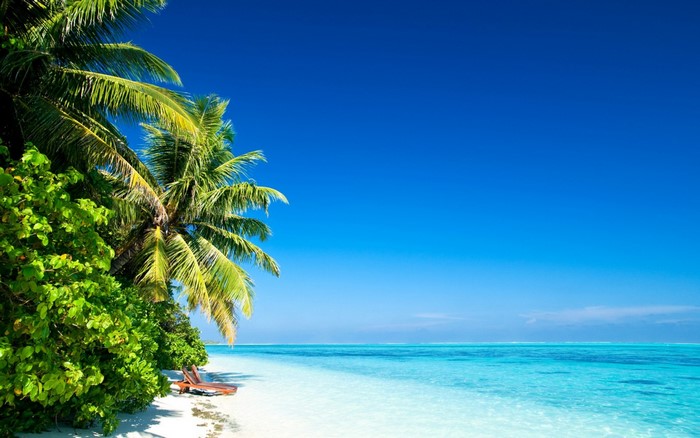 Tropical beach with palm trees and turquoise water