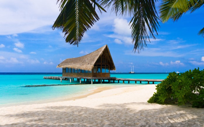 Tropical beach with overwater bungalow and palm trees