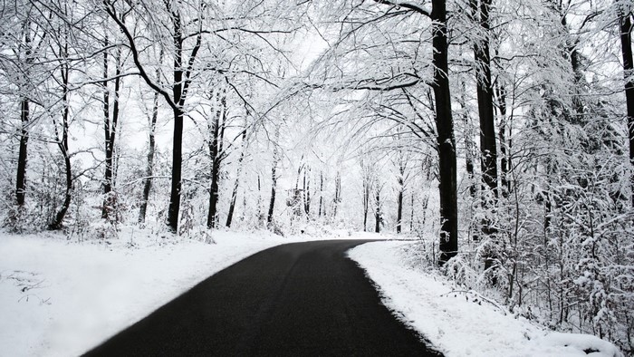 Snow-covered forest road in winter