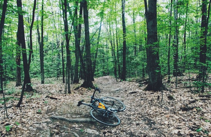 Bicycle lying on a forest trail