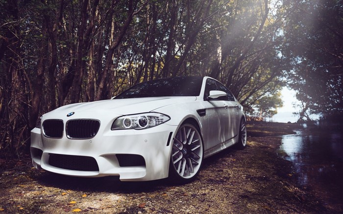 White BMW M5 parked by a stream in a forest