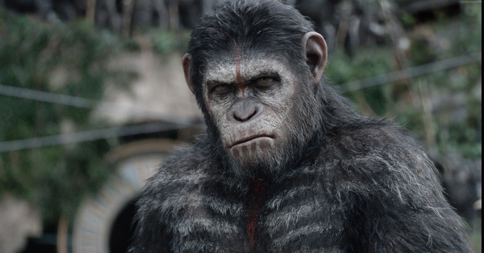 Caesar from War for the Planet of the Apes 4K