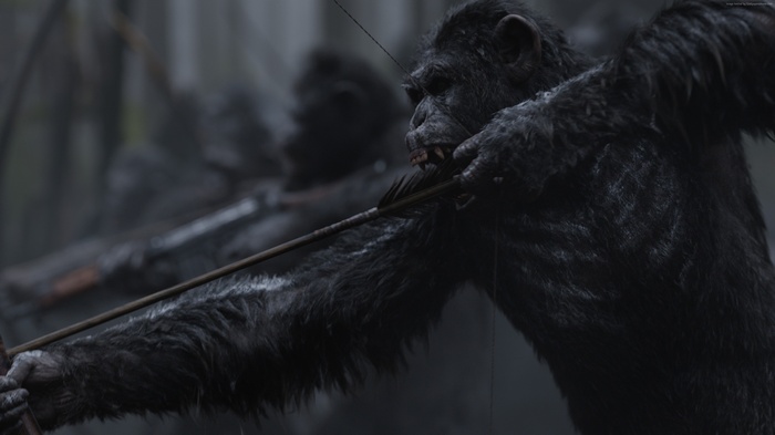 Caesar from War for the Planet of the Apes 4K