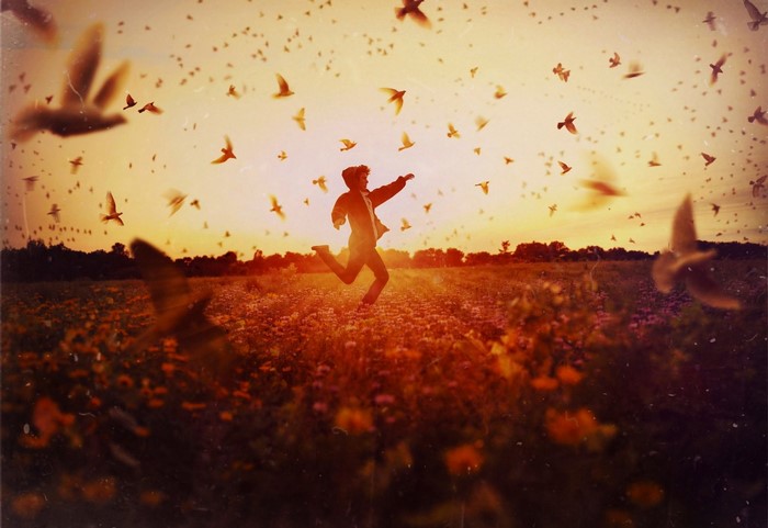 Man running in a field of flowers with birds at sunset