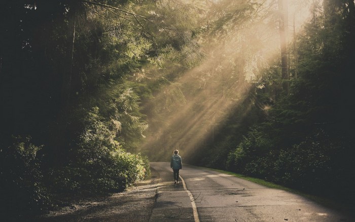 Person walking on a road in a misty forest with sunbeams
