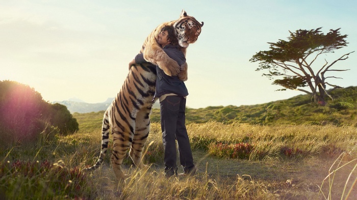 Man hugging a tiger in a grassy field