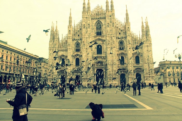 Pigeons in front of Milan Cathedral