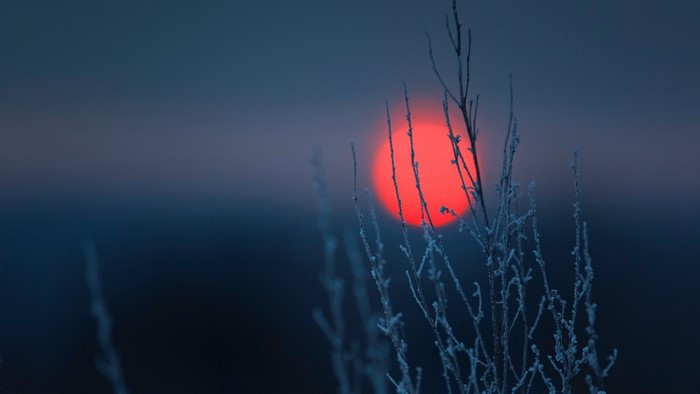 Red sun behind frosted branches in winter