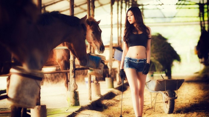 Woman in jean shorts and black top with horse in stable