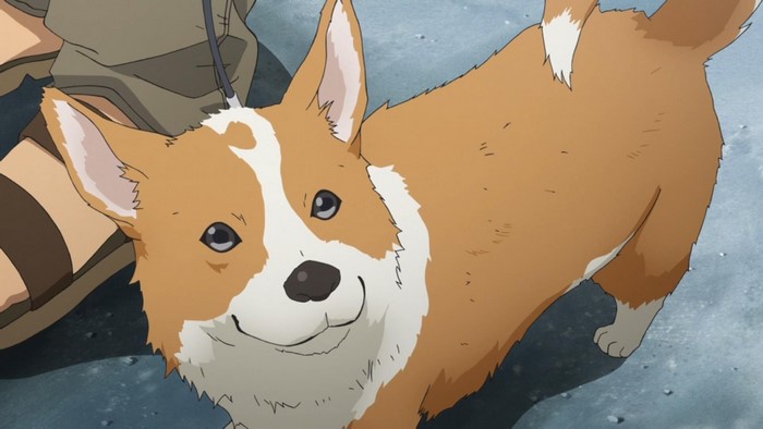 Illustration of a Corgi dog
