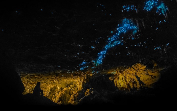 Glowworms illuminate a cave in New Zealand with a person silhouetted