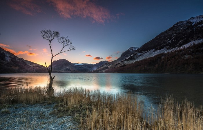 Lone tree by a lake at sunset with mountains
