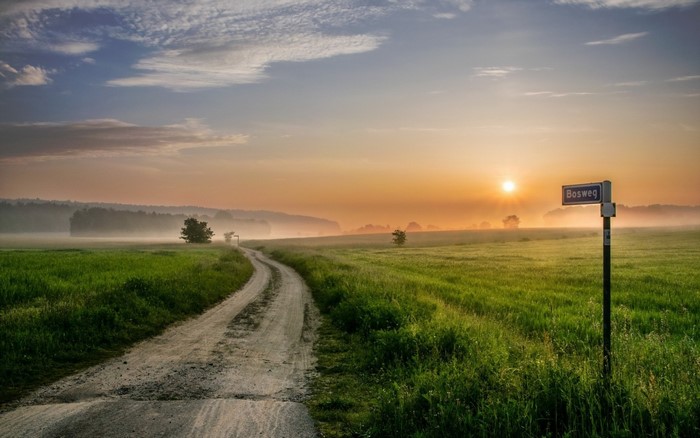 Dirt road through a misty field at sunrise with a signpost