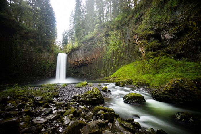 Waterfall in a Mossy Forest with a River