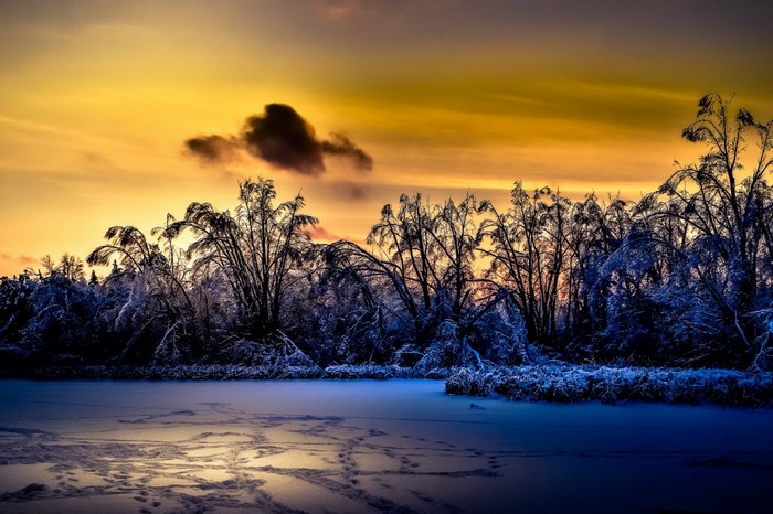 Winter sunset over a frozen landscape with snow-covered trees