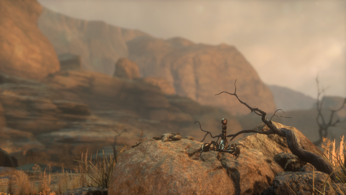 Scorpion in Rise of the Tomb Raider desert landscape