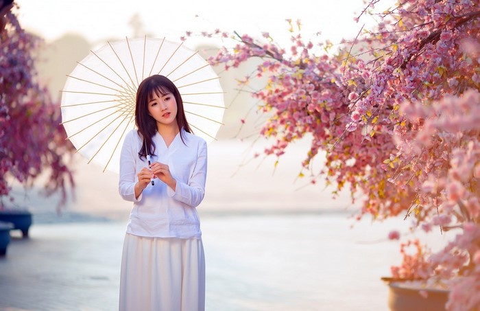 Woman in White with Umbrella Among Cherry Blossoms