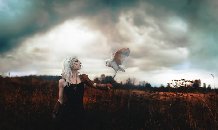 Woman with owl in a field at sunset