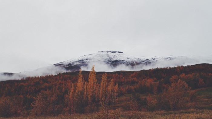 Snow-capped mountain range over autumn forest
