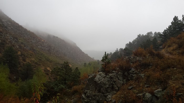 Misty valley with pine trees and rocky hills