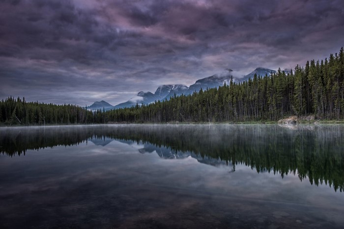Misty lake reflecting pine forest and mountains at dawn