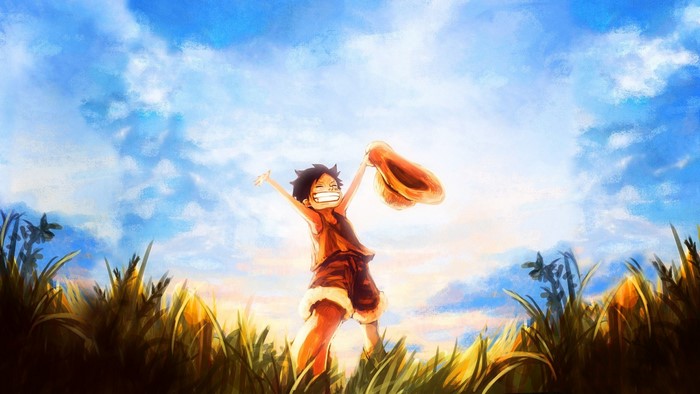 Monkey D. Luffy from One Piece in a field