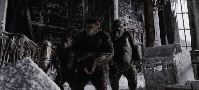 Gorillas with guns in the snow from War for the Planet of the Apes
