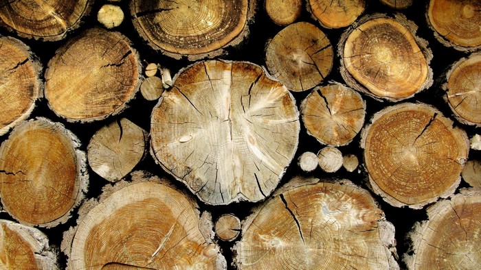 Stack of cut logs with visible wood grain