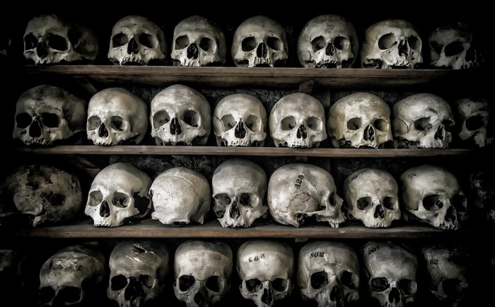 Rows of human skulls on shelves