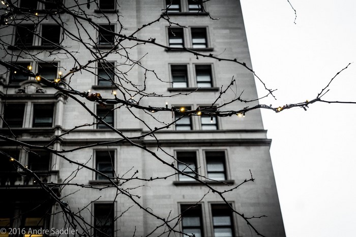 Bare branches with lights in front of a building facade