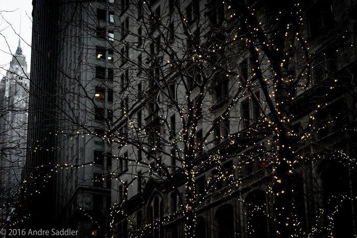 Bare trees with lights in front of buildings at night