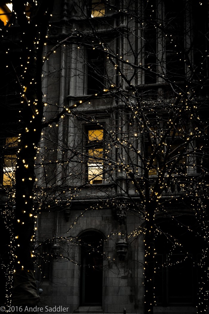 Building facade with trees decorated with lights at night