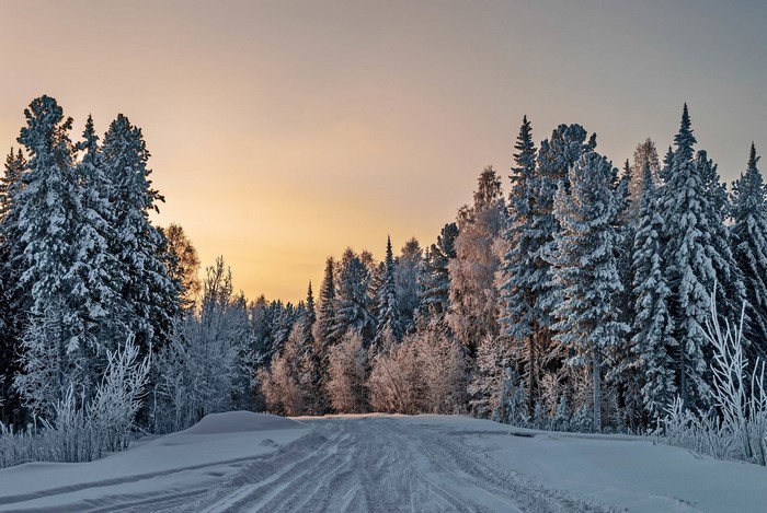 Snowy forest road at sunset