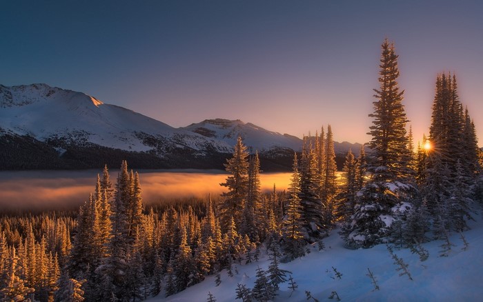 Snowy mountain landscape with pine trees at sunrise